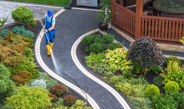 Best House Pressure Washing  in Burney, CA